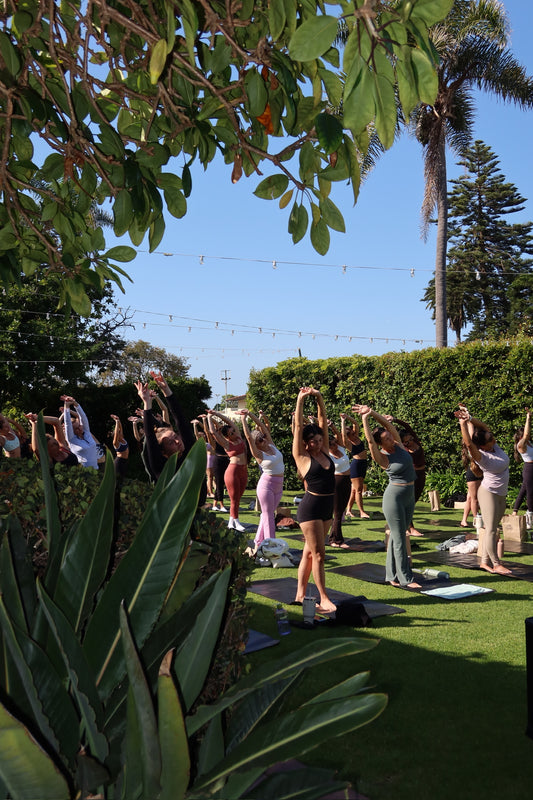 Yoga & Sound Healing With Zen Diego Wellness